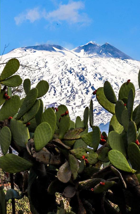 니콜로시 La Pigna Dell'Etna 아파트 외부 사진